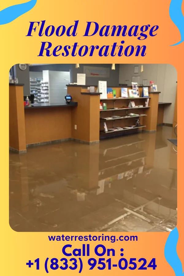 Flood Damage Restoration in Losantville, IN