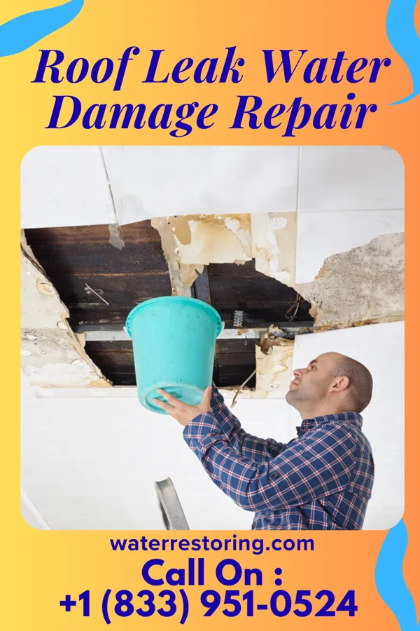Roof Leak Water Damage Repair in Losantville, IN