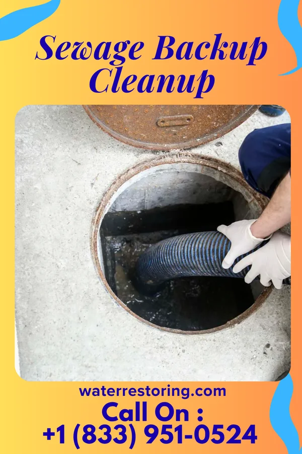 Sewage Backup Cleanup in Losantville, IN